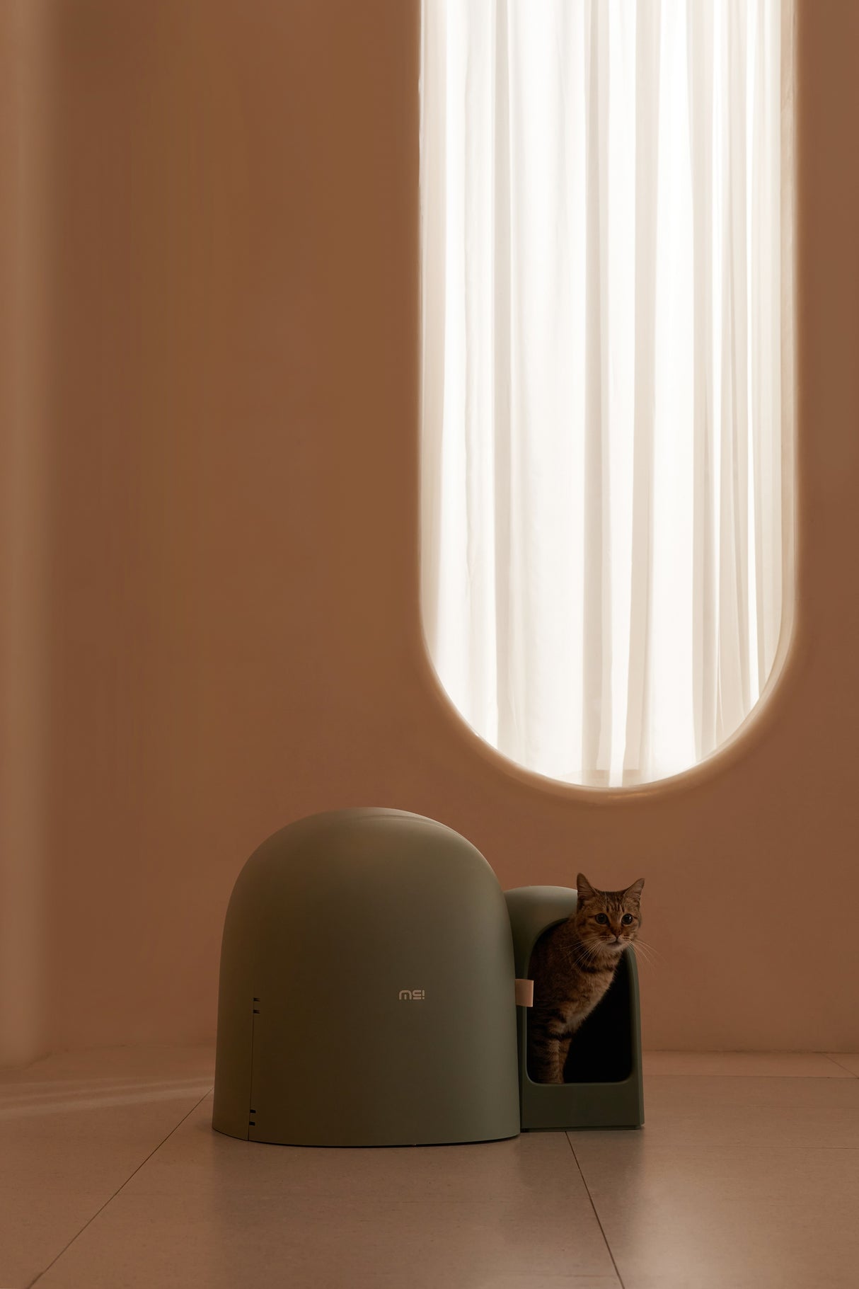 Kattenbak - One Size Fits All - Grote Ruimte - Lekvrij - Geurvrij - Inclusief Kattebakschepje - 67.7x49x50cm (LxBxH) SpirePets