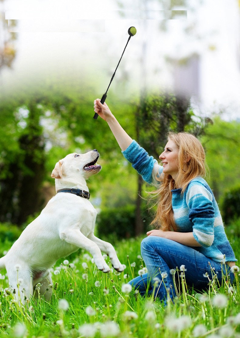 Ballenwerper hond - hondenspeelgoed - werpstok - inclusief 3 werpartikelen