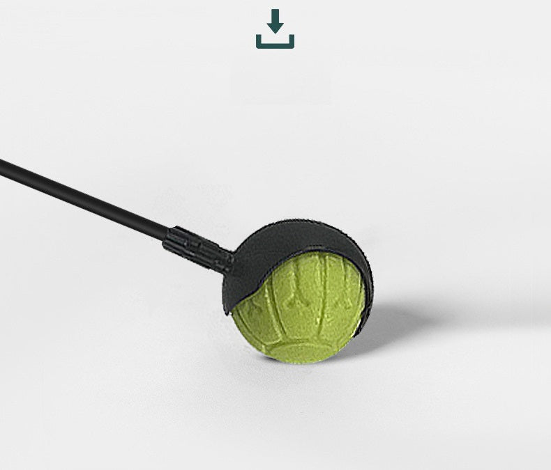 Ballenwerper hond - hondenspeelgoed - werpstok - inclusief 3 werpartikelen