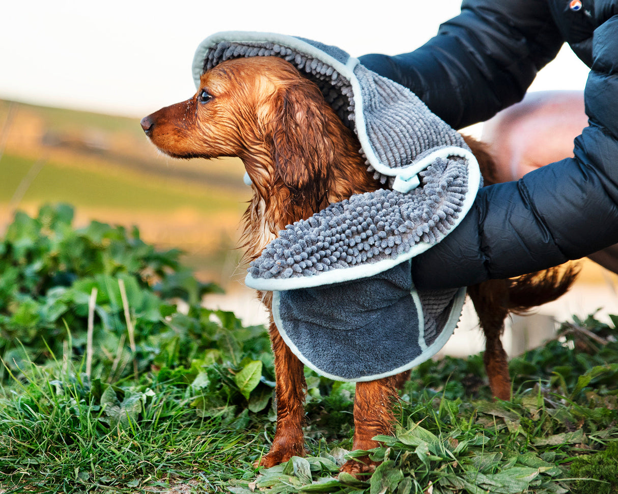 Henry Wag Microvezel huisdier handdoek voor honden en katten - Houd je huisdier snel schoon en droog SpirePets