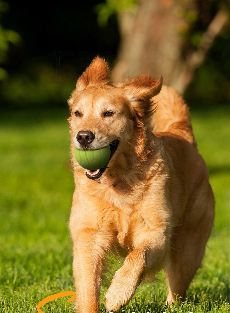 Ballenwerper hond - hondenspeelgoed - werpstok - inclusief 3 werpartikelen
