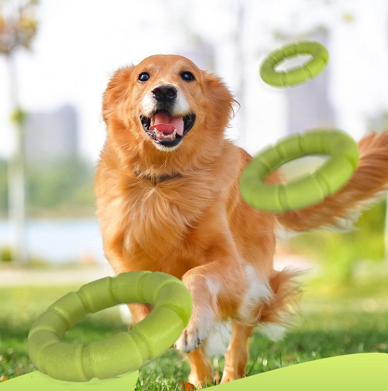 Ballenwerper hond - hondenspeelgoed - werpstok - inclusief 3 werpartikelen
