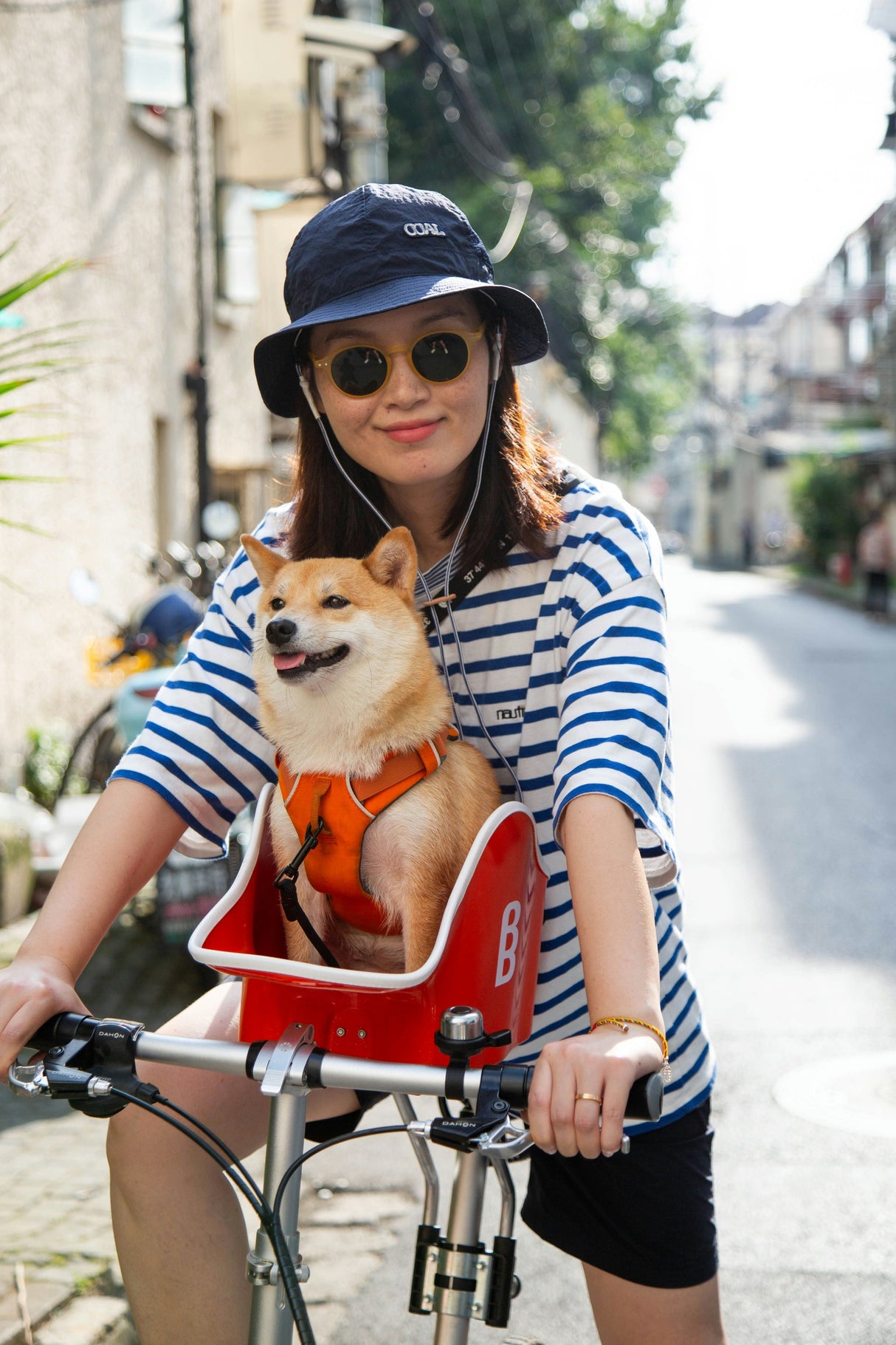 Brooke & Breeze Canine Copilot - Amber Light Orange Brooke & Breeze