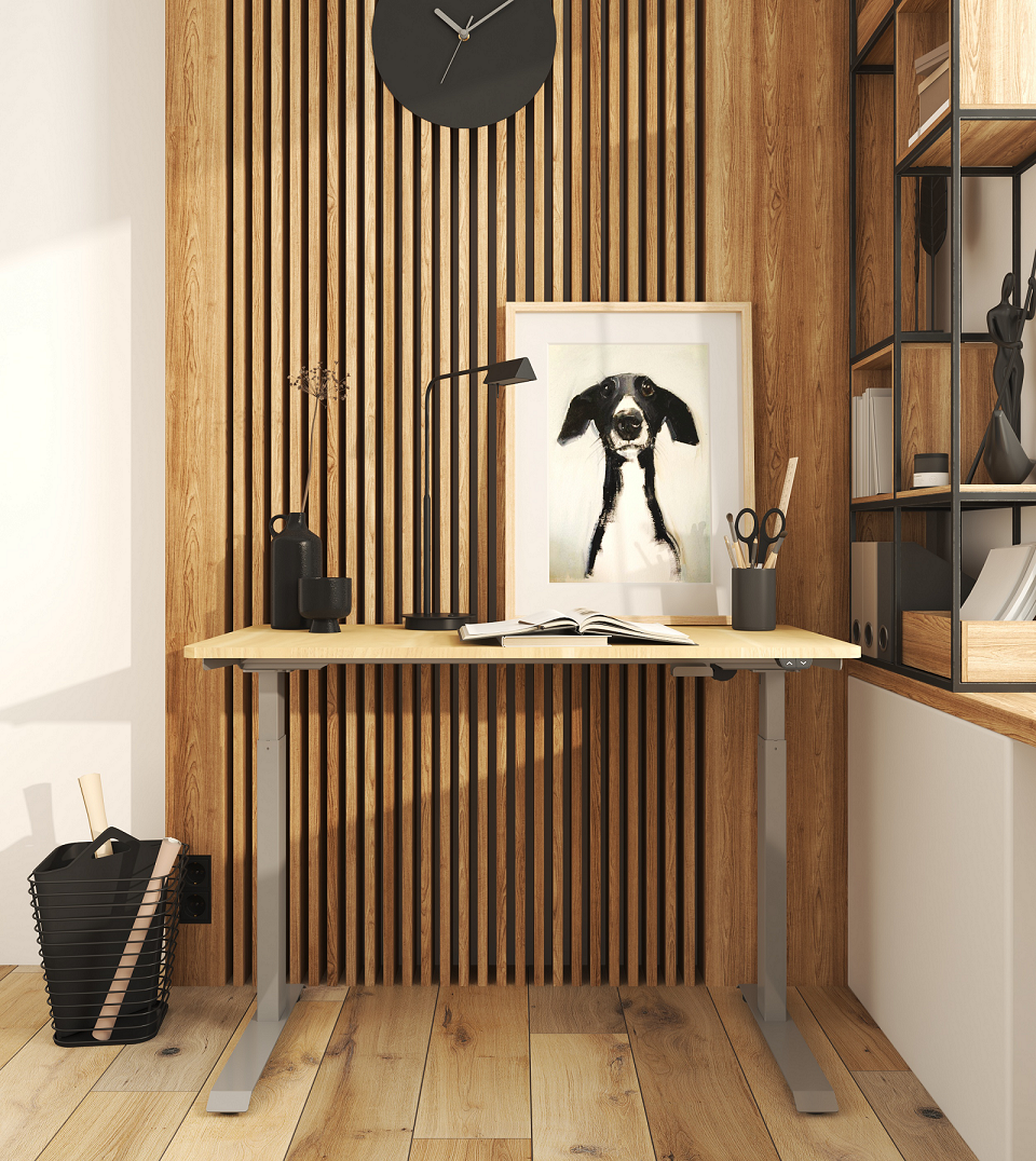 Sit-stand desk electrically adjustable | Ergonomic workplace | Height adjustable | Desktop 120*60*2.5cm | Maximum height 123 cm | Minimum height 73cm