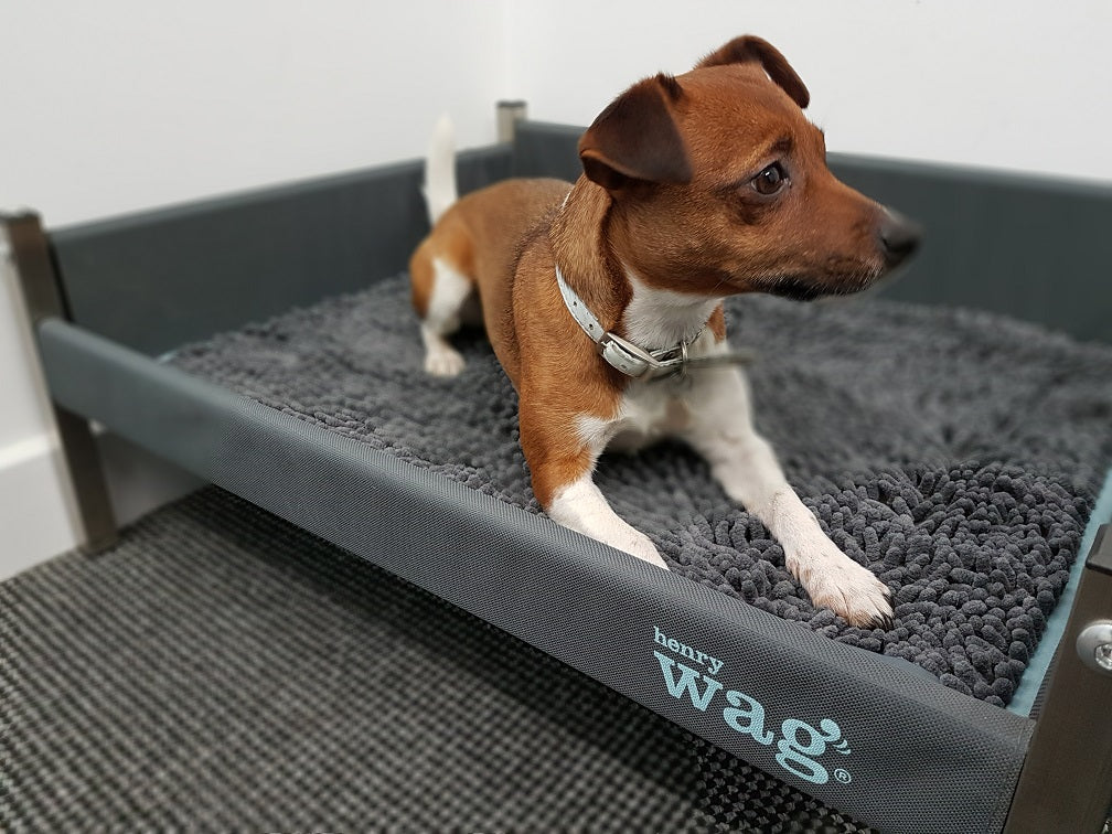 Henry Wag microvezel noodle huisdier mat - Droogmat voor honden - Maat M Coolgods.nl
