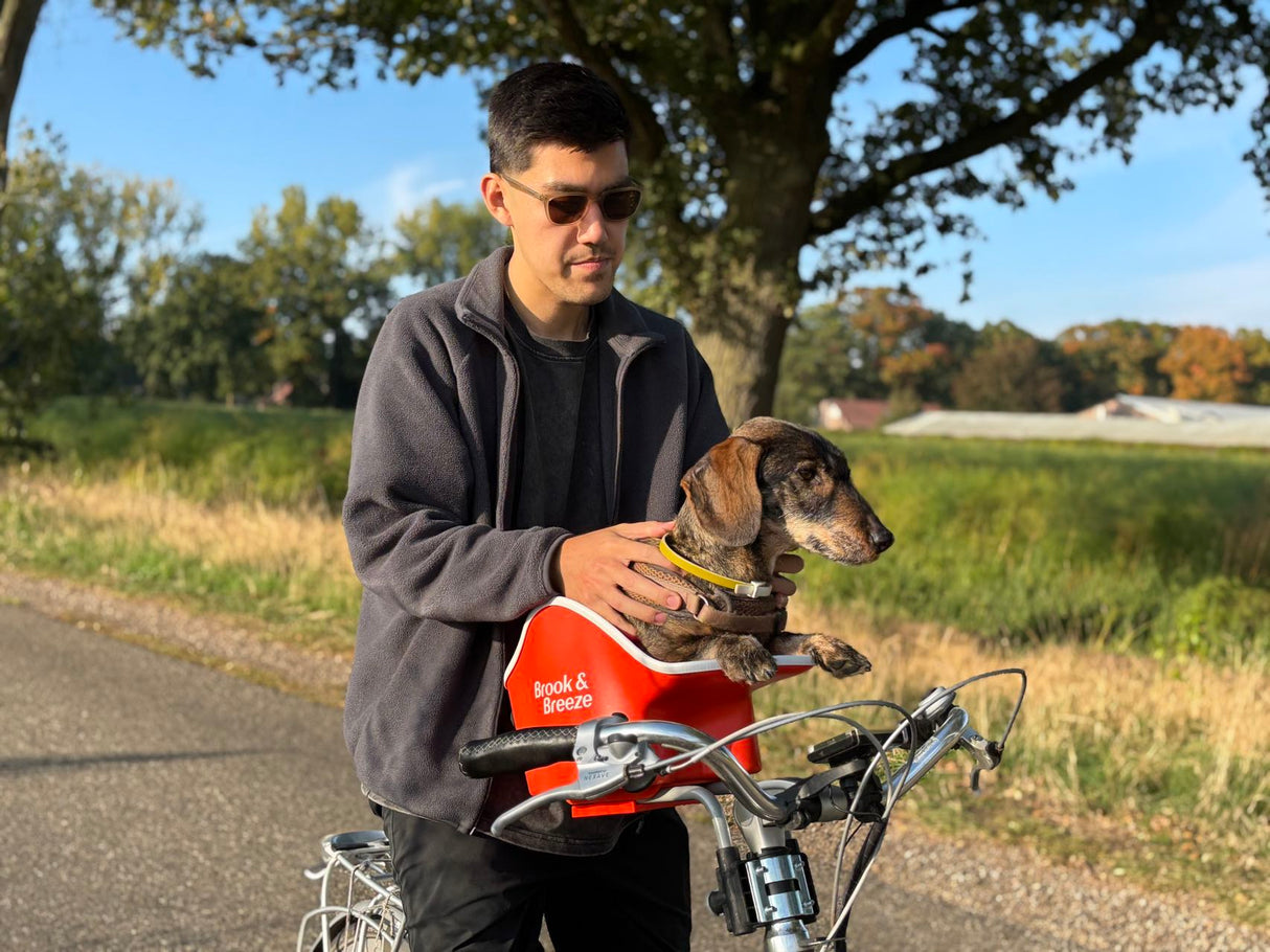 Brooke & Breeze Canine Copilot - Amber Light Orange Brooke & Breeze