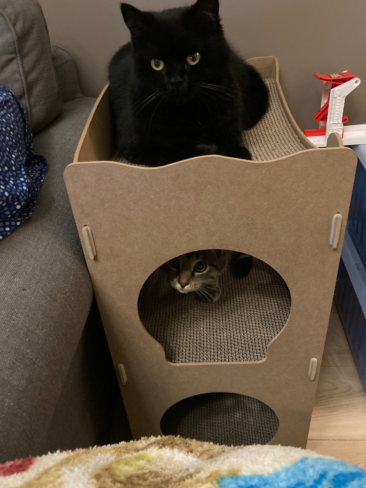 Kattenhuis - duurzaam speelhuis voor katten - karton krabmeubel katten SpirePets