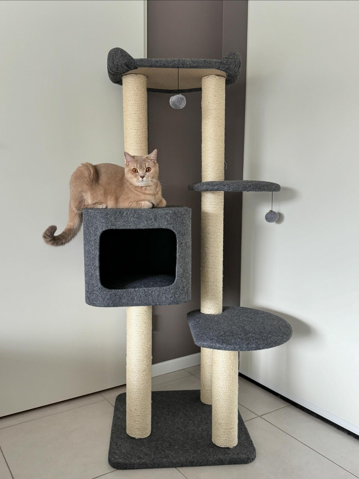 Luxe krabpaal voor katten - Cindy - 5 niveaus - sisal krab kolommen - pluche bed SpirePets