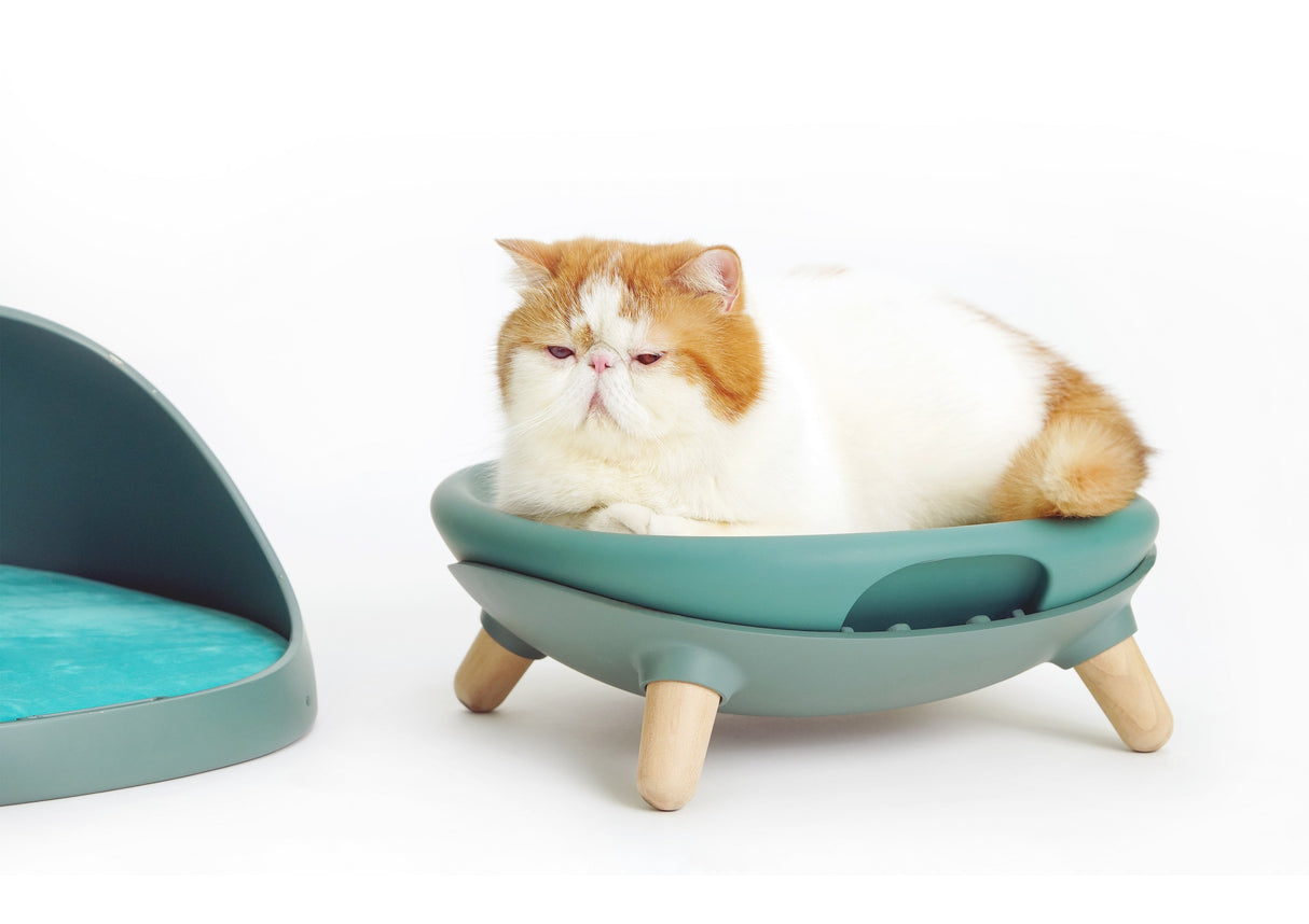 Kattenmand - Kattenbed - 4 in 1 ontwerp - Schommel -  One Size Fits All SpirePets