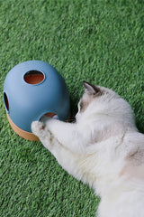 Kattenspeelgoed - Puzzel - Geschikt voor alle katten - Flexibele en interactieve speelconfiguraties SpirePets