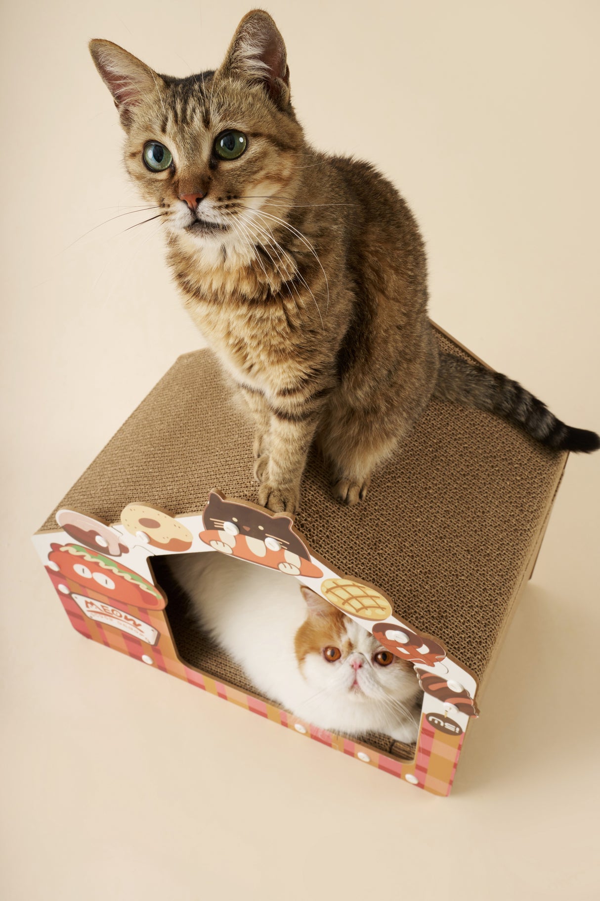 Kattenhuis - Krabmeubel - Karton - Geschikt voor katten < 7 kg - Rood, Geel en Wit SpirePets