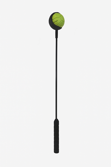 Ballenwerper hond - hondenspeelgoed - werpstok - inclusief 3 werpartikelen SpirePets