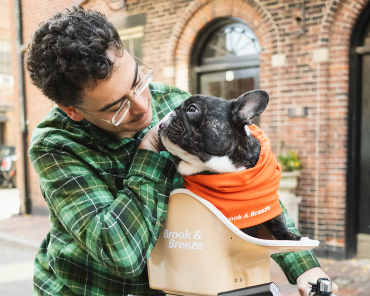 Brooke & Breeze Canine Copilot - Crème Beige Brooke & Breeze