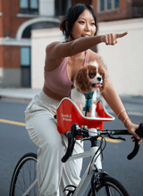 Brooke & Breeze Canine Copilot - Amber Light Orange Brooke & Breeze