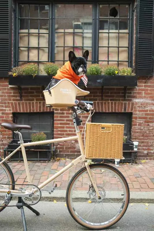 Brooke & Breeze Canine Copilot - Crème Beige Brooke & Breeze