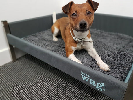 Henry Wag microvezel noodle huisdier mat - Droogmat voor honden - Maat M Coolgods.nl