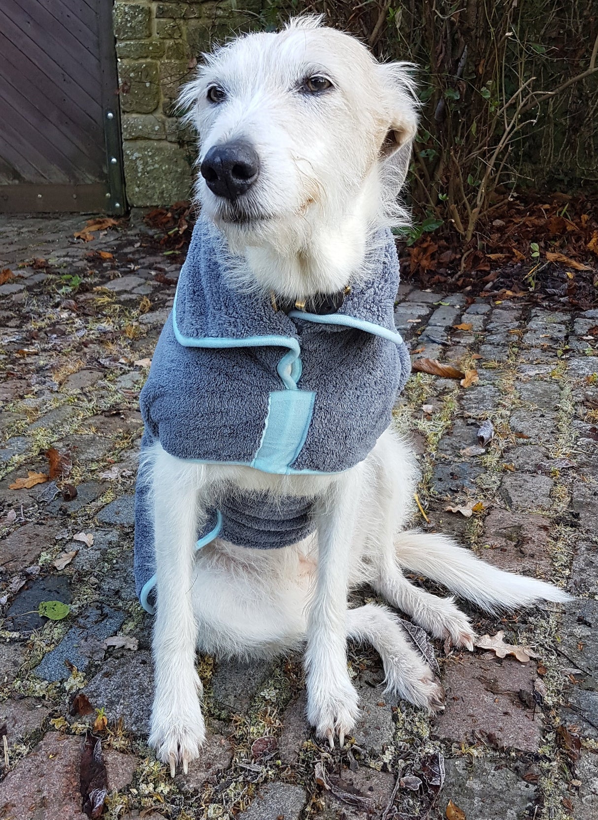 Henry Wag microvezel hondenbadjas - droogjas voor honden - Maat XL Henry Wag