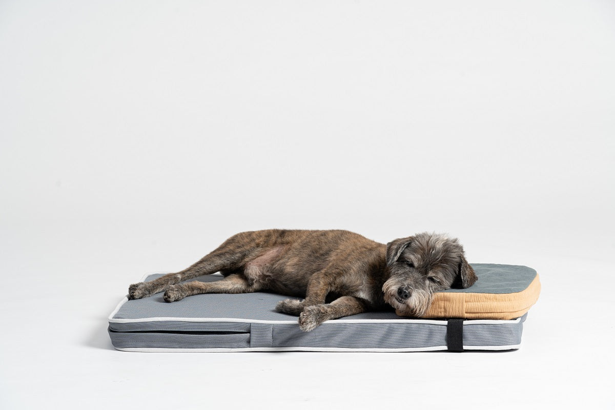 Hondenkussen - Orthopedisch Hondenbed - Grijs en lichtbruin - 30x25x6 cm Coolgods