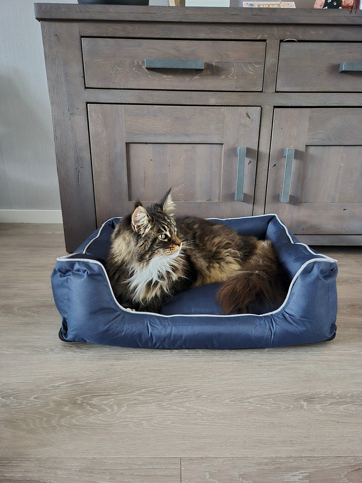 Huisdierenbed Bastiaan - anti-slip onderkant - makkelijk reinigen - maat S SpirePets