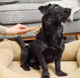 KELLER Slicker Borstel voor Honden en Katten – Professionele Vachtverzorging SpirePets