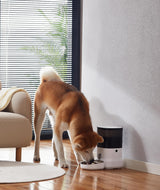 Dogness automatische voerbak Kat en Hond - Voerautomaat - Voerdispenser Coolgods